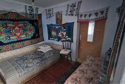 Casă cu Teren 2185 Mp în Stoicănești - 4
