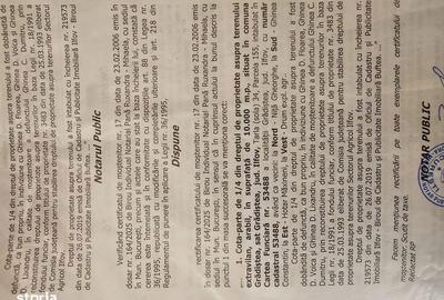 Teren de 10000 mp, în Grădiștea