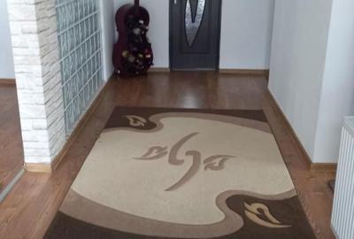 Casă cu 2 camere cu Teren 10000 Mp în Sanislău - 2