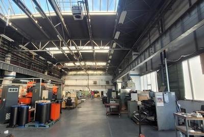 Hale de 270 - 370 mp in Parcul Industrial Roman pt. productie, depozitare - 5