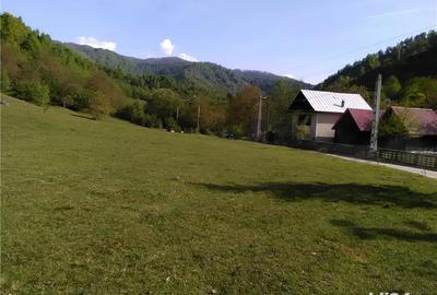 Teren de 5500 mp, în Pietroasa - 4