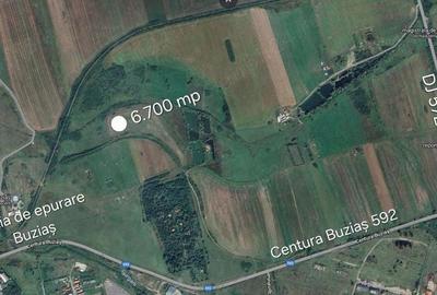 Teren de 6700 mp, în Buziaș - 1