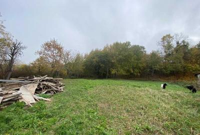 Spațiu comercial, în Uileacu de Munte - 1