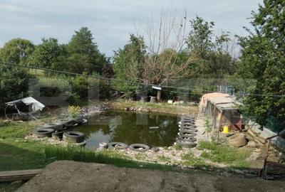 Casa de vacan?a cu helesteu 180mp utili, 975mp teren Ulmi - 11