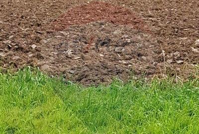 Vanzare teren intravilan construibil Corbeanca, Ostratu, ... - 3