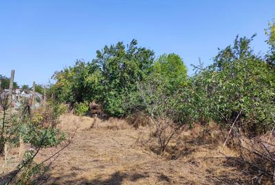 Spațiu comercial, în Corbu - 6