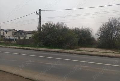 Teren în Dragomirești-Deal - 6