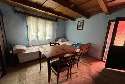 RECO Casa batraneasca cu teren generos la Lupoaia -Holod - 7