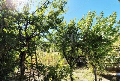 Casa de vanzare in Dancu - 7