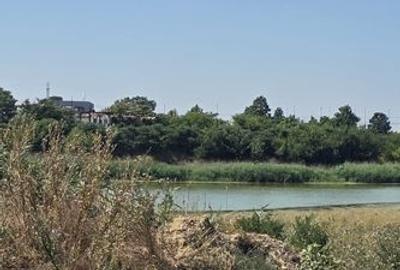 Teren intravilan - PUZ aprobat, utilitati 150m, asfalt - Ambient Lake Events - 1