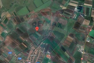 Teren 3.500 MP | Halchiu | Jud. Brasov - 6