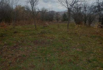 Casă cu 5 camere cu Teren 6200 Mp în Făget - 8