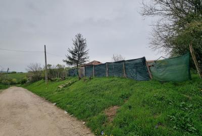 Casă cu 2 camere în Goiești - 1