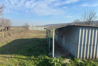 Teren de 377 mp, în Oltina