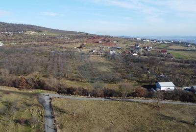 Teren agricol extravilan de 20146 mp, în Dâmbul Rotund - 13