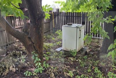Teren Intravilan + Extravilan 5000 mp cu anexa demolabila Manastirea Doamnei - 2