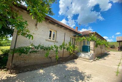 Casă cu 3 camere în Burzuc - 5