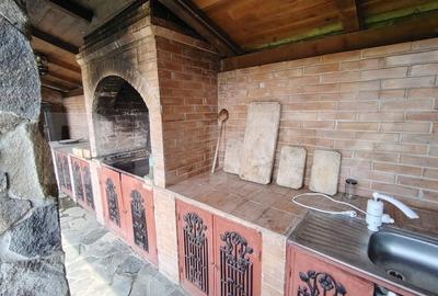 Casa cu mobilier premium si gradina spectaculoasa in Tarnaveni - 7