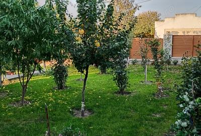 Casă cu 6 camere în Turcoaia