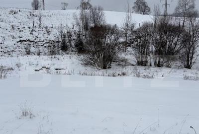 Teren intravilan de vanzare, 8163 mp - Vatra Dornei - 4