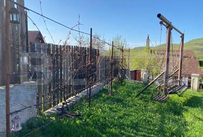 Casa de vanzare in Baciu, Mera - liniste, spatiu si natura la doar 13 km de oras - 7