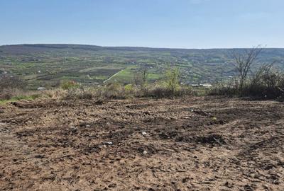 Teren de 3000 mp, în Tomești - 2