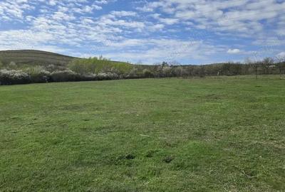 Teren de 703 mp, în Central - 7