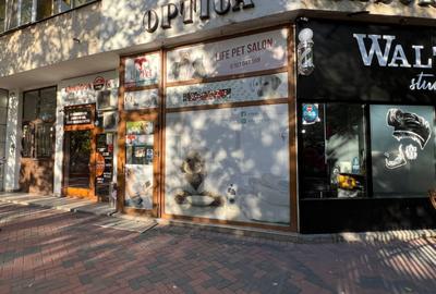 Spatiu comercial 17,6 mp de inchiriat – Bd. Nicolae Grigorescu - 1