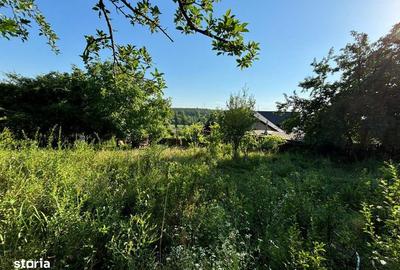 Teren de 2540 mp, în Valea Adâncă - 5