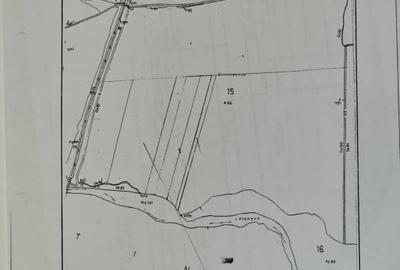 Teren agricol – 90.000 mp, Comuna Puchenii Mari, jud. Prahova - 4