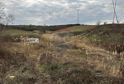 Teren agricol extravilan de 5240 mp, în Berchezoaia - 7