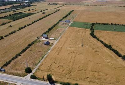 Teren Construcții intravilan de 360 mp, în Berceni - 6