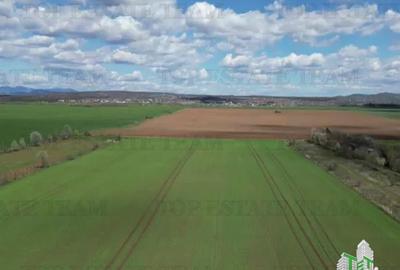 Teren intravilan 24611 mp, Ideal retail, logistica, birouri - 7