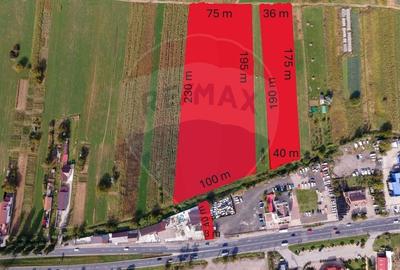 Teren Construcții intravilan de 30016 mp, în Sântuhalm - 2