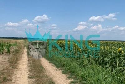 Teren agricol extravilan de 17900 mp, în Uliești