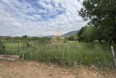 Teren de 3700 mp, în Valea Borcutului - 5