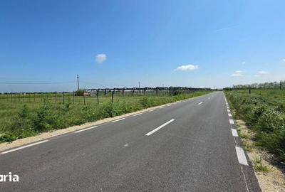 Teren de 2000 mp, în Topraisar - 2