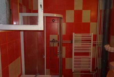 Vand casa in Deva, zona Aurel Vlaicu D+P+E, constructie din anul 2010 din BCA - 19