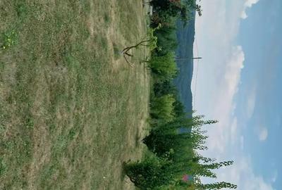 Teren de 2524 mp, în Central - 3