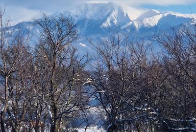 Teren de 3300 mp, în Sadu - 1