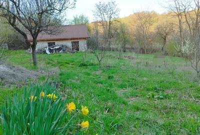 Casă cu 3 camere cu Teren 5200 Mp în Schela - 3