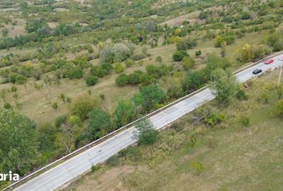 Teren de 8043 mp, în Berevoești - 14