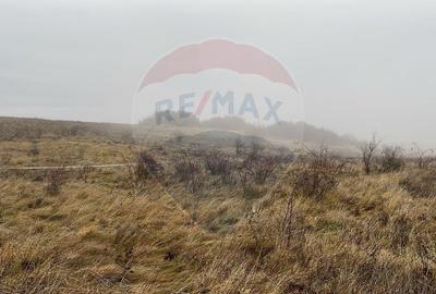 Teren agricol extravilan de 544 mp, în Pădureni (Chinteni) - 3