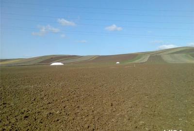 Teren de 3935 mp, în Nazna - 7