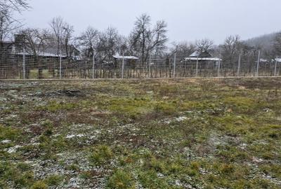 Casă individuală cu 2 camere cu Canalizare în Mitrofani - 4