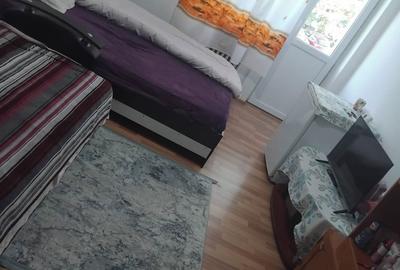 Garsonieră în Câlnic - 5