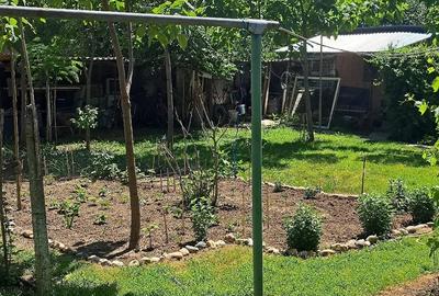 Casă cu 3 camere cu Teren 900 Mp în Dimieni - 7