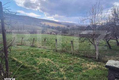 Casă cu 2 camere în Salatiu - 5
