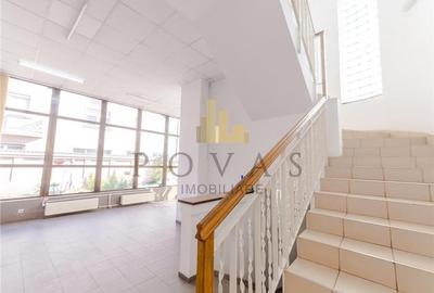 Inchiriere Casa Spatiu De Birou Jiului Damaroaia - 17