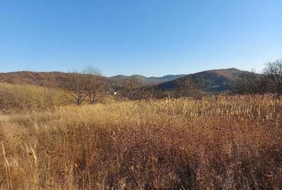 Teren de 2900 mp, în Buhoci - 4